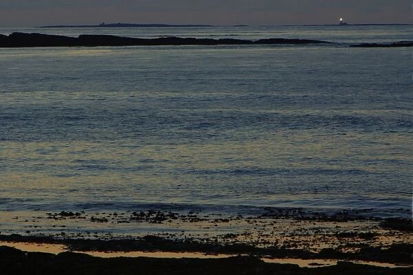 Lighthouse on the Farnes-twilight over the North Sea, from beach at Dunstan Steads, looking towards Farne Isles, Northumberland Uk
