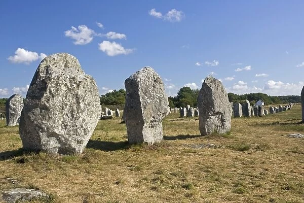 Megalithic alignements de Menec prehistoric megaliths or standing stones Carnac Brittany France