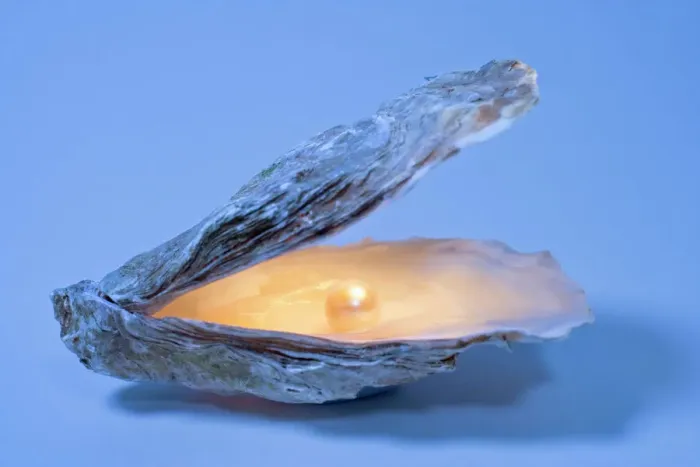 Framed Print : Oyster Shell With Artificial Pearl Print Framed Print : Oyster Shell With Artificial Pearl Print