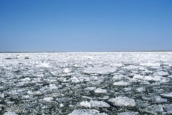 Russia - ice floes River Lena, Siberia, Russia