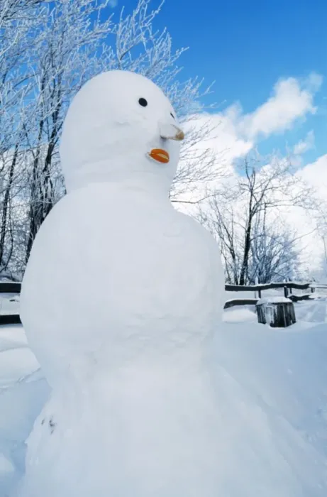 Framed Print : Snowman Print by Johan De Meester from Ardea Framed Print : Snowman Print by Johan De Meester from Ardea