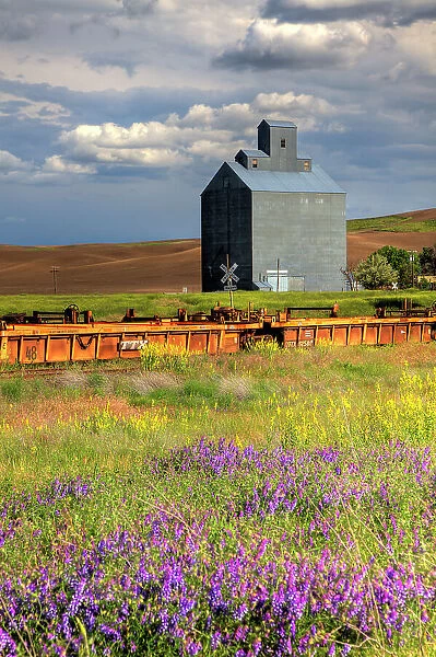 USA, Washington State, Palouse. Old silo with wildflowers in the foreground in the town of Wauconda in Eastern Washington. Date: 19-06-2010