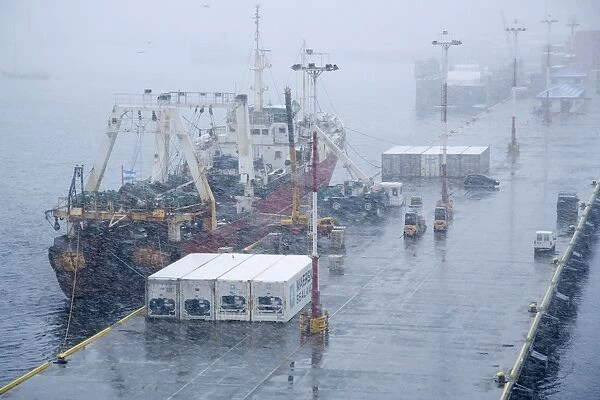 Ushuaia dock unloading fish in snow storm, Tierra del Fuego, October
