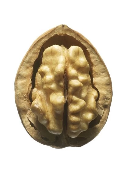 Walnuts In shell