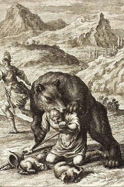 1731 Scheuchzer Bear attack