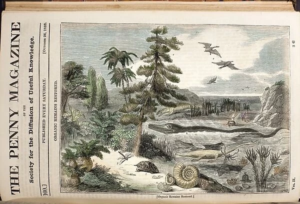 1833 Penny Magazine extinct animals color