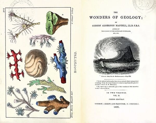 1838 Frontis Mantell Wonders of Geology 1838 Frontis Mantell Wonders of Geology