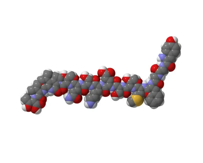 Framed Print : Alpha-endorphin molecule Print Framed Print : Alpha-endorphin molecule Print