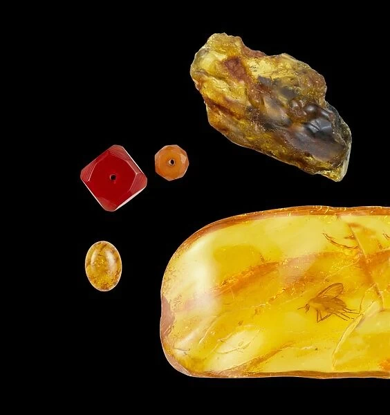 Amber. The smaller pieces have been polished, the two larger pieces are unpolished