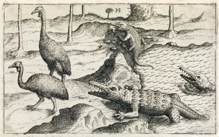 Framed Print : Print of a 17th-century illustration featuring crocodiles in Java Framed Print : Print of a 17th-century illustration featuring crocodiles in Java