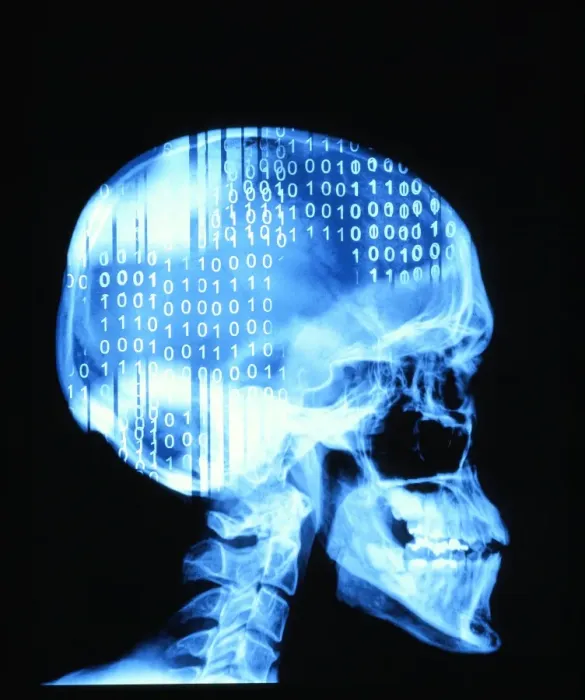 Framed Print : Binary Code on Human Skull Print Framed Print : Binary Code on Human Skull Print