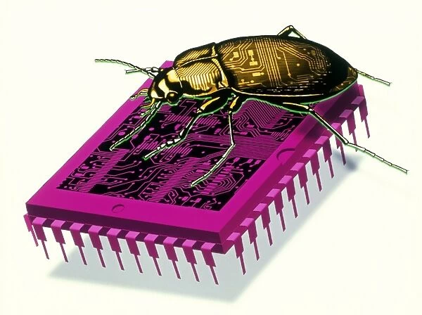 Artwork of millennium bug with beetle on microchip