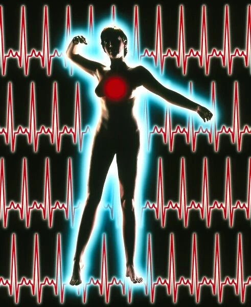 Artwork of normal ECG heart trace on female figure