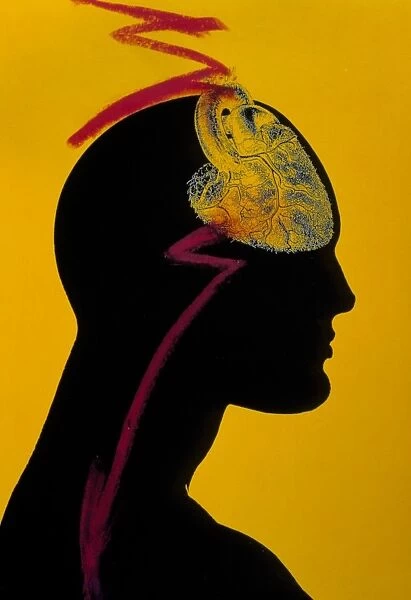 Artwork of silhouette with heart in brains place