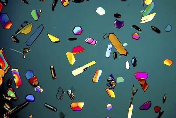 Aspirin crystals, light micrograph