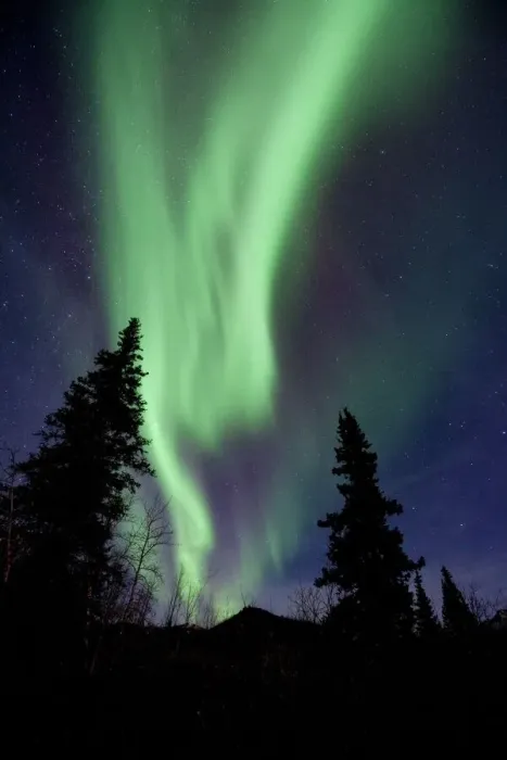 Framed Print : Aurora borealis over trees Print