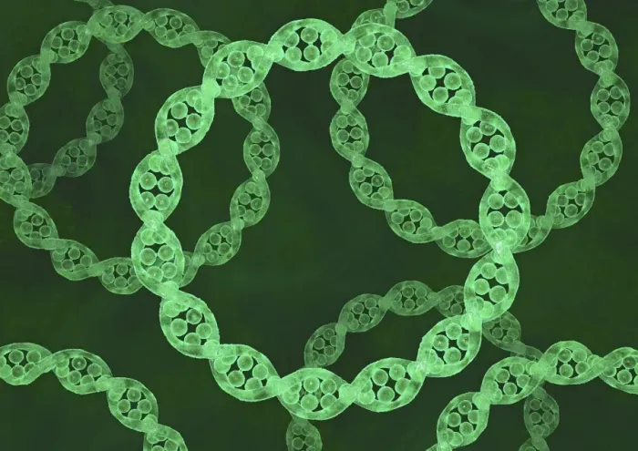 Framed Print : Bacterial DNA Print Framed Print : Bacterial DNA Print