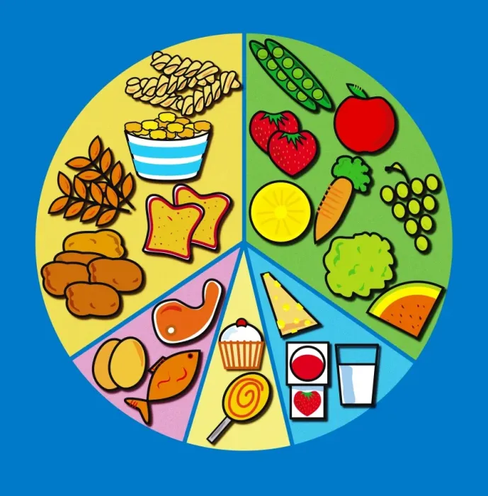 Framed Print : Balanced Diet Print - Segmented Pie Chart Framed Print : Balanced Diet Print - Segmented Pie Chart