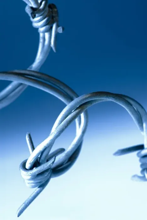 Framed Print : Barbed wire print - Close-up of barbs Framed Print : Barbed wire print - Close-up of barbs