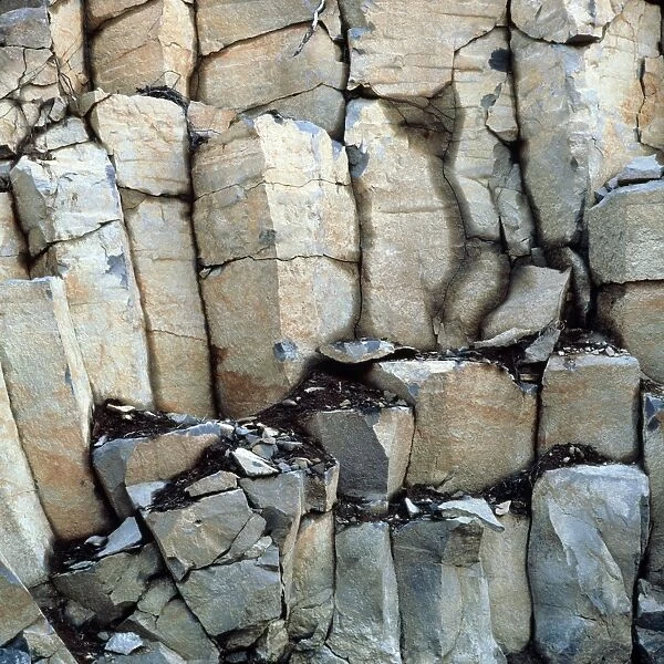 Basalt columns in British Columbia, Canada