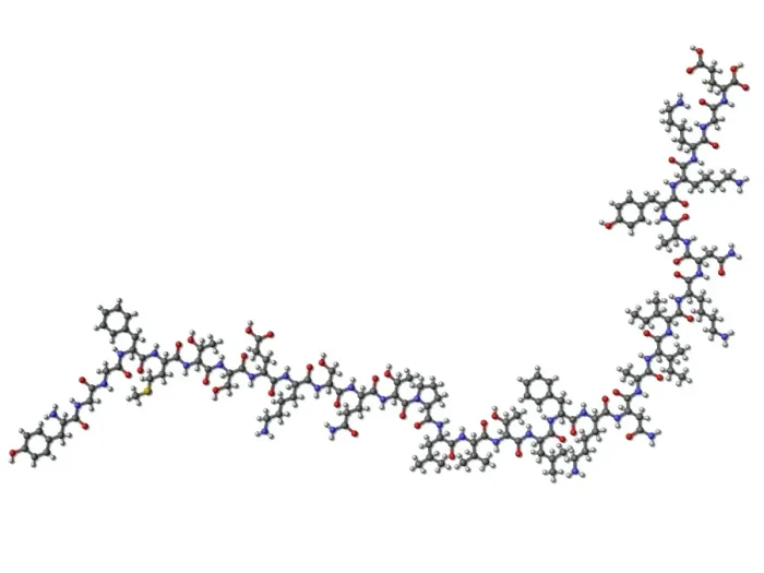 Framed Print : Beta-endorphin Molecule Print Framed Print : Beta-endorphin Molecule Print