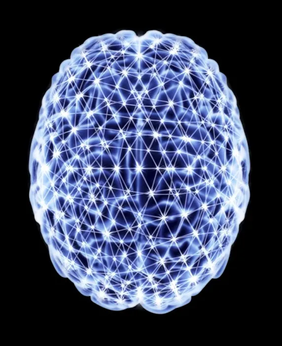 Framed Print : Brain Neural Network Print - Top View Computer Artwork Framed Print : Brain Neural Network Print - Top View Computer Artwork