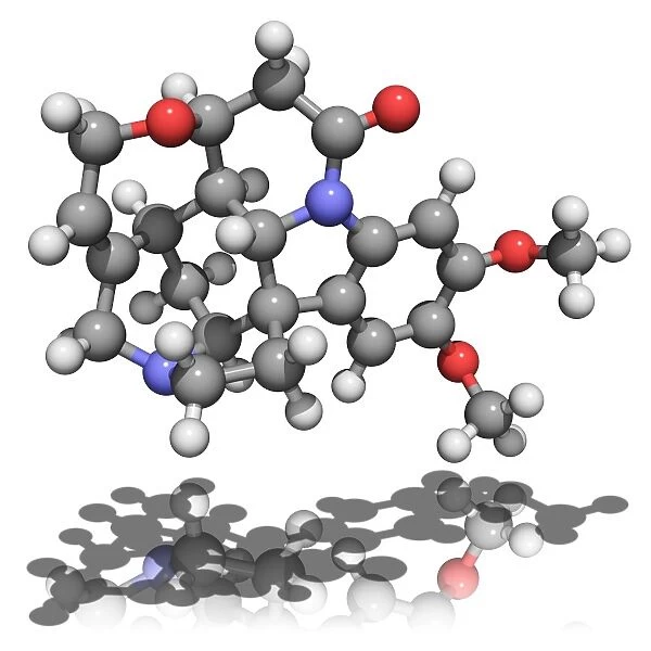 Brucine molecule