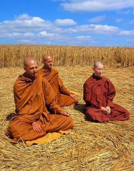 Buddhist monks meditating in a crop circle