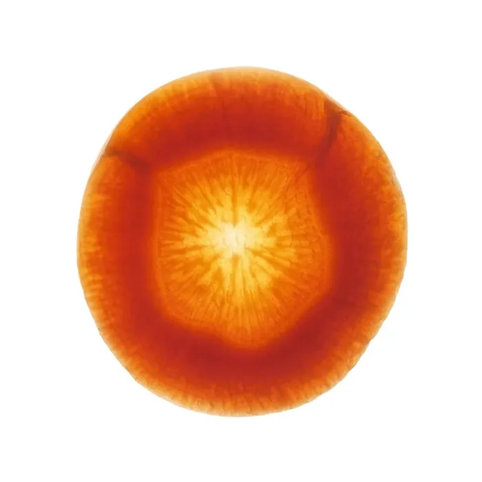 Framed Print : Carrot Slice Print