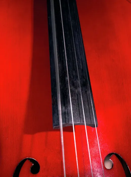 Framed Print : Cello Strings Print Framed Print : Cello Strings Print