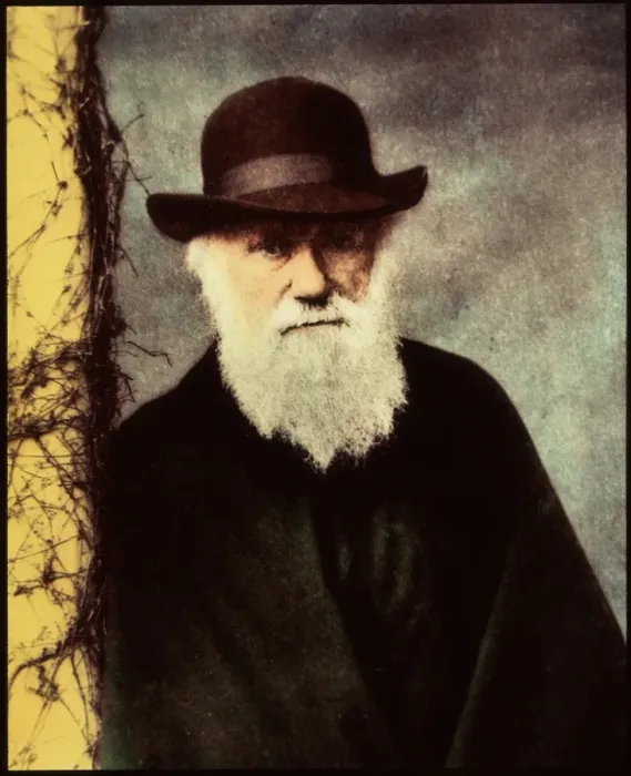 Framed Print : Print of Charles Darwin, a 65-year-old English naturalist Framed Print : Print of Charles Darwin, a 65-year-old English naturalist