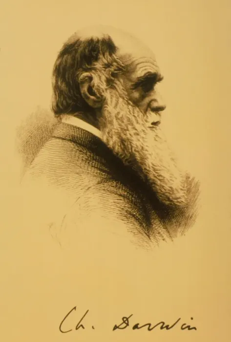 Framed Print : Charles Darwin Print, Sepia Framed Print : Charles Darwin Print, Sepia