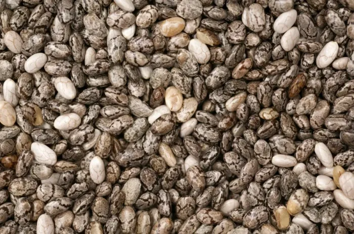 Framed Print : Chia Seeds Print Framed Print : Chia Seeds Print