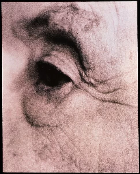 Close-up of an elderly womans eye (side view)