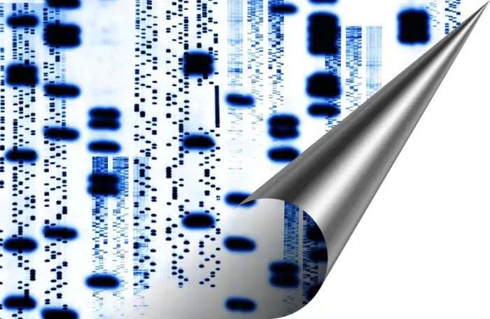 Framed Print : DNA Autoradiogram Sequence Print Framed Print : DNA Autoradiogram Sequence Print