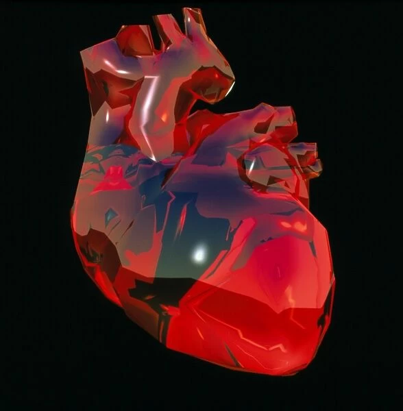 Computer artwork of human heart, abstract colours