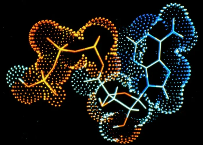 Framed Print : Computer graphic print of an ATP molecule Framed Print : Computer graphic print of an ATP molecule