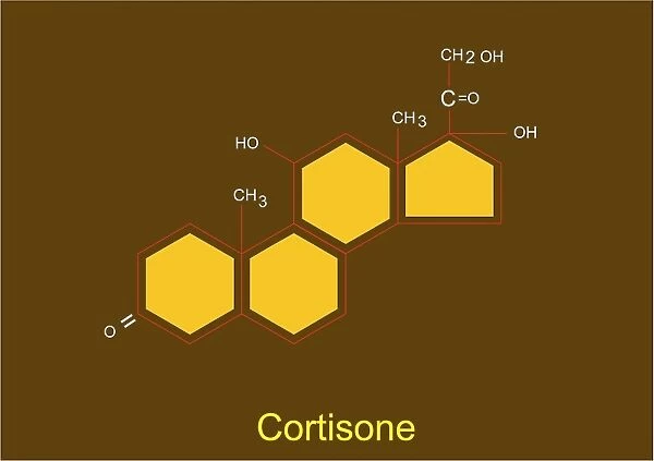 Cortisone molecule