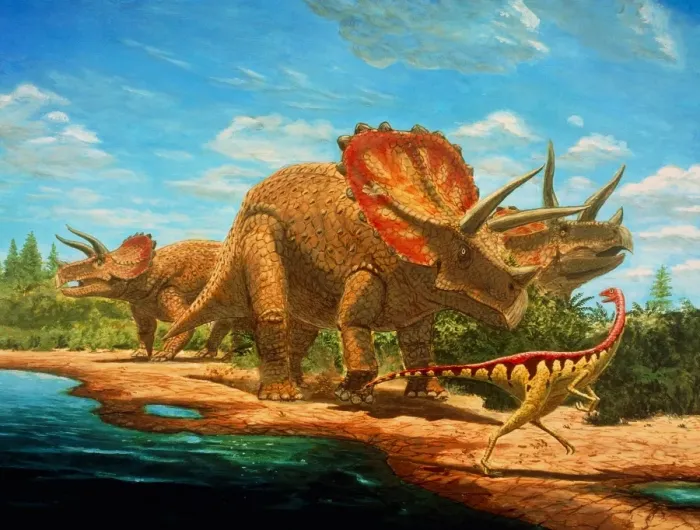 Framed Print : Cretaceous Dinosaurs Print Framed Print : Cretaceous Dinosaurs Print