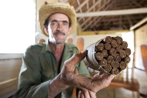 Cuban cigar production, Cuba C014  /  1497
