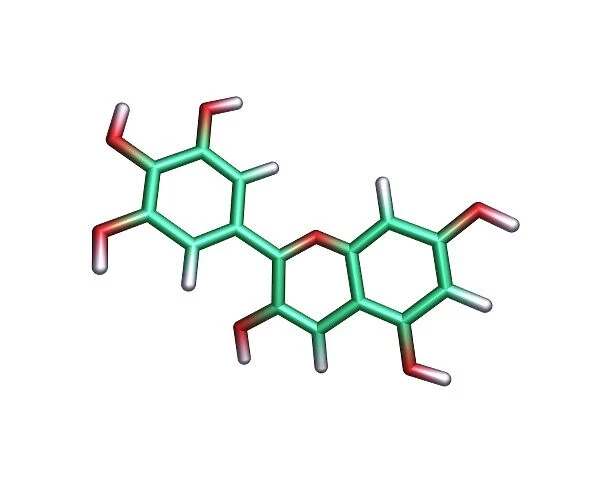 Delphinidin molecule