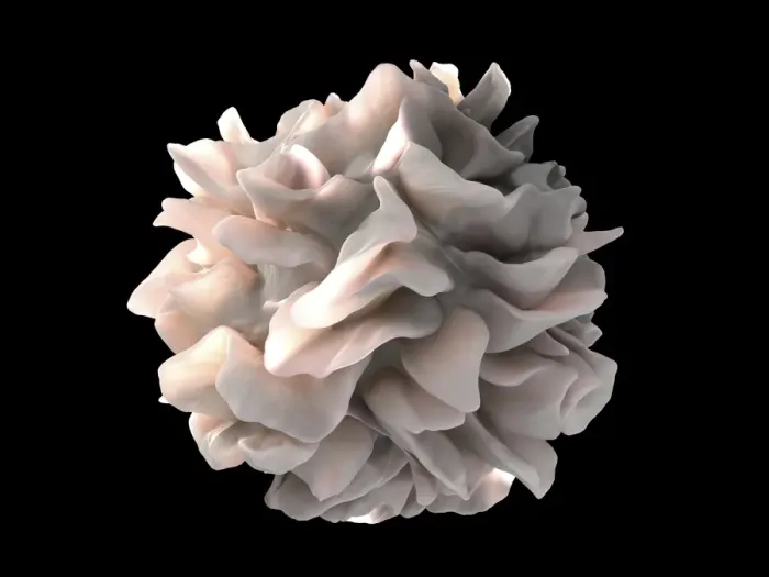 Framed Print : Dendritic Cell Print, coloured IA-SEM Framed Print : Dendritic Cell Print, coloured IA-SEM