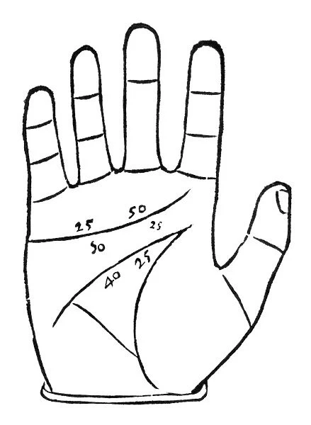 Diagram used in palmistry, 16th century