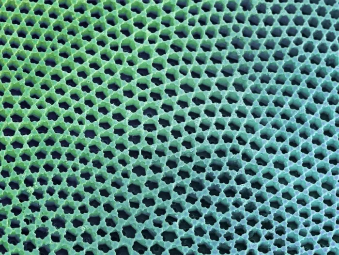 Framed Print : Diatom Cell Wall Print (SEM) Framed Print : Diatom Cell Wall Print (SEM)