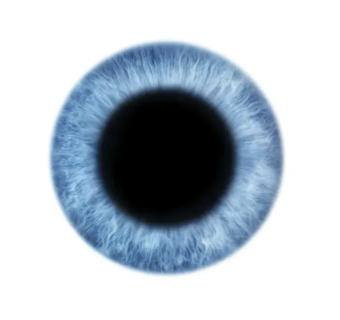 Framed Print : Dilated Pupil Print Framed Print : Dilated Pupil Print