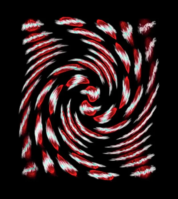 Framed Print : Mitosis Print: A Spiral of Cells in Metaphase Framed Print : Mitosis Print: A Spiral of Cells in Metaphase