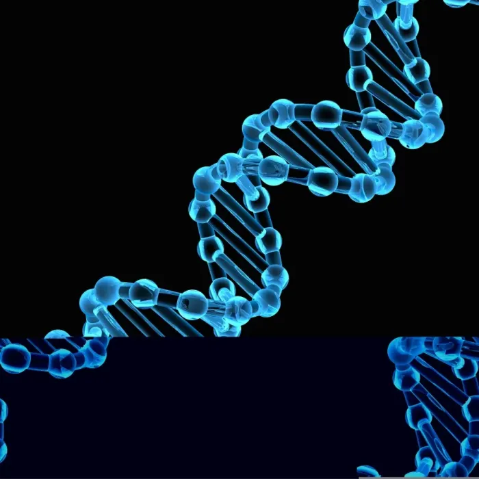 Framed Print : Double Helix DNA Molecule Print Framed Print : Double Helix DNA Molecule Print