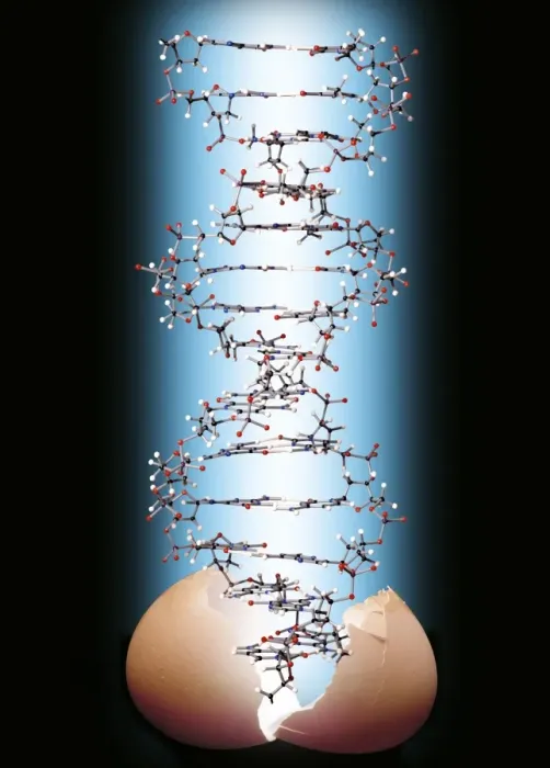 Framed Print : DNA Emerging from Cracked Eggshell Print Framed Print : DNA Emerging from Cracked Eggshell Print