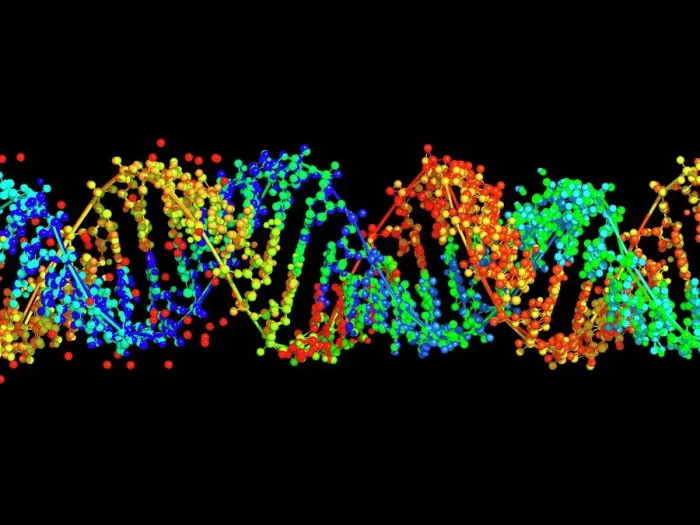 Framed Print : Double-stranded RNA molecule Print Framed Print : Double-stranded RNA molecule Print