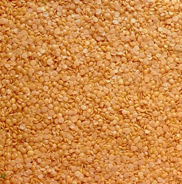 Dried lentils, a type of pulse